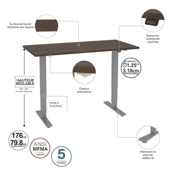 60W x 30D Electric Standing Desk